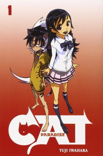 cat-paradise-2376